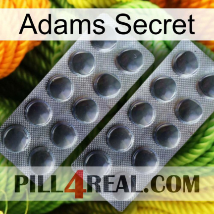 Adams Secret 31